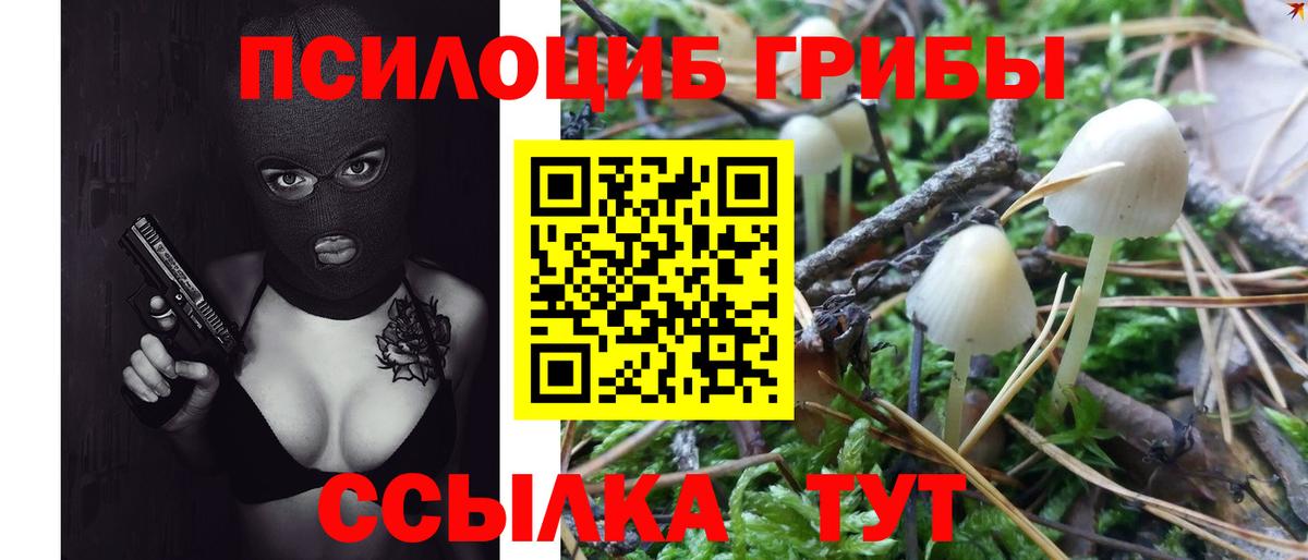 наркошоп  Галлюциногенные грибы GOLDEN TEACHER  Галлюциногенные грибы MAGIC MUSHROOMS  Вход с VPN  Шадринск 
