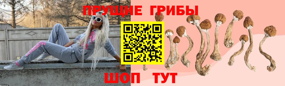 Псилоцибиновые грибы Magic Shrooms Шадринск
